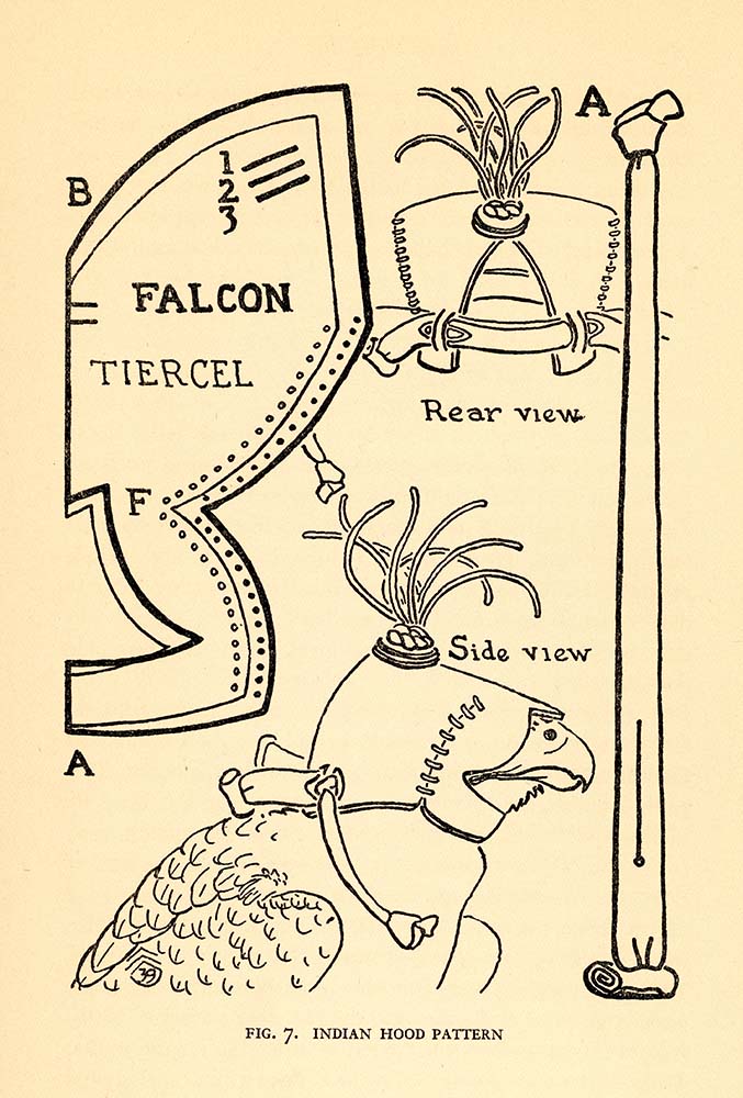 Hood pattern from Falconry: A Handbook for Hunters by Bill Russell