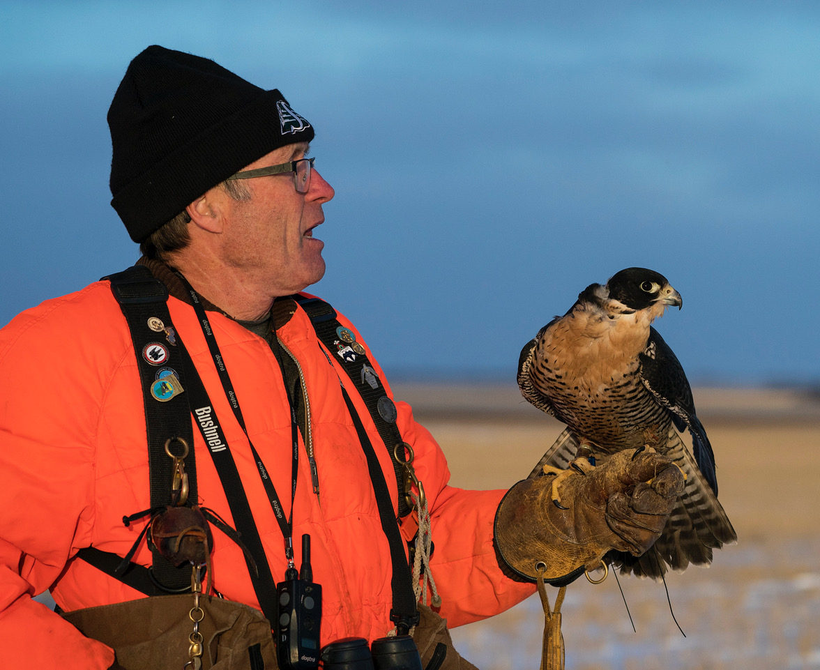 The Archives of Falconry Inductee image