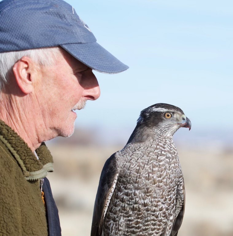 The Archives of Falconry Inductee image