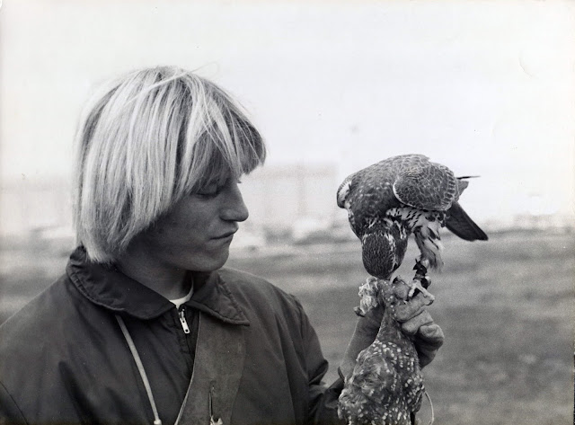 The Archives of Falconry Inductee image