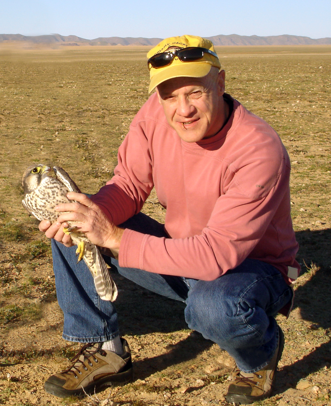 The Archives of Falconry Inductee image